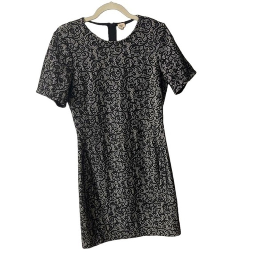 ⭐️ Aritzia Wilfred Black Grey Lace Short Sleeve bodycon dress- size Large